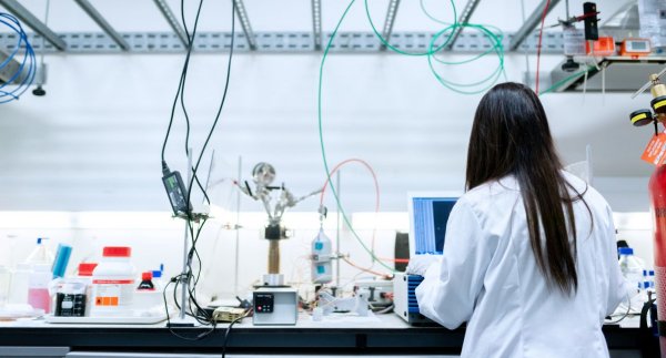 chemical engineer
