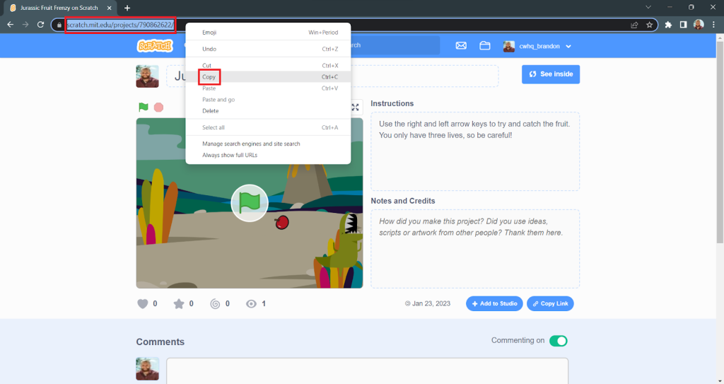 copy link from browser
